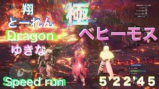 モンスターハンターワールド（極ベヒーモス）ヘビィ 4pt MHW （Extreme behemoth speed run ）5:22 HBG