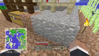 PS4[マインクラフト]まったり雑談ラジオ放送※画面固定多いです