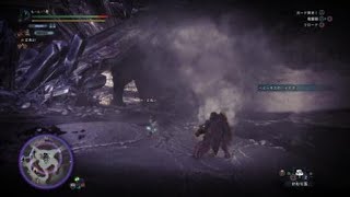 モンスターハンター：ワールド_極ﾍﾞﾋｰﾓｽ