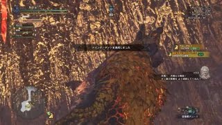 モンスターハンター：ワールド_20180819135705