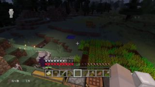 2時間くらいマインクラフト　視聴者参加型