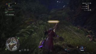 モンスターハンターワールド_36