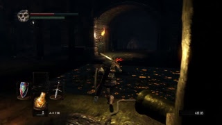 《夏休み企画第4弾》DARK SOULS REM 第8話 カエルの呪い(笑)