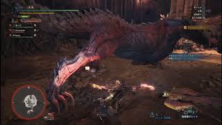 モンスターハンターワールド　新大陸の白き風 2018 08 27 01 01 54 705