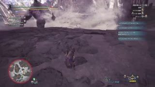 モンスターハンターワールド　極ベヒーモスに挑戦！！！