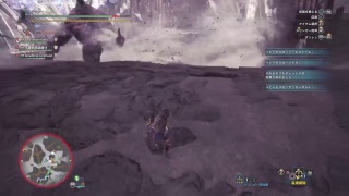 モンスターハンターワールド　極ベヒーモスに挑戦！！！