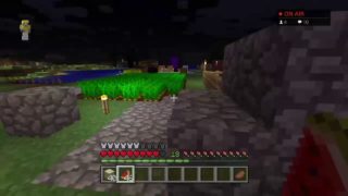 [参加型マインクラフト 雑談多め配信　PS4版フレンド募集　参加型配信 　初見大歓迎　参加募集] ＊天龍村作ろう＊