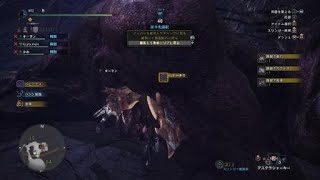 モンスターハンター：ワールド　極ベヒ練習