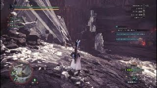 モンスターハンター：ワールド_20180827015543