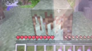 マインクラフト m逃走中inチュートリアルワールド