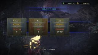 ［装飾品］歴然リオレウスで攻撃珠！！　野良マルチ　モンスターハンター：ワールド_20180828221753