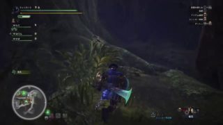モンスターハンターワールド　回復役　練