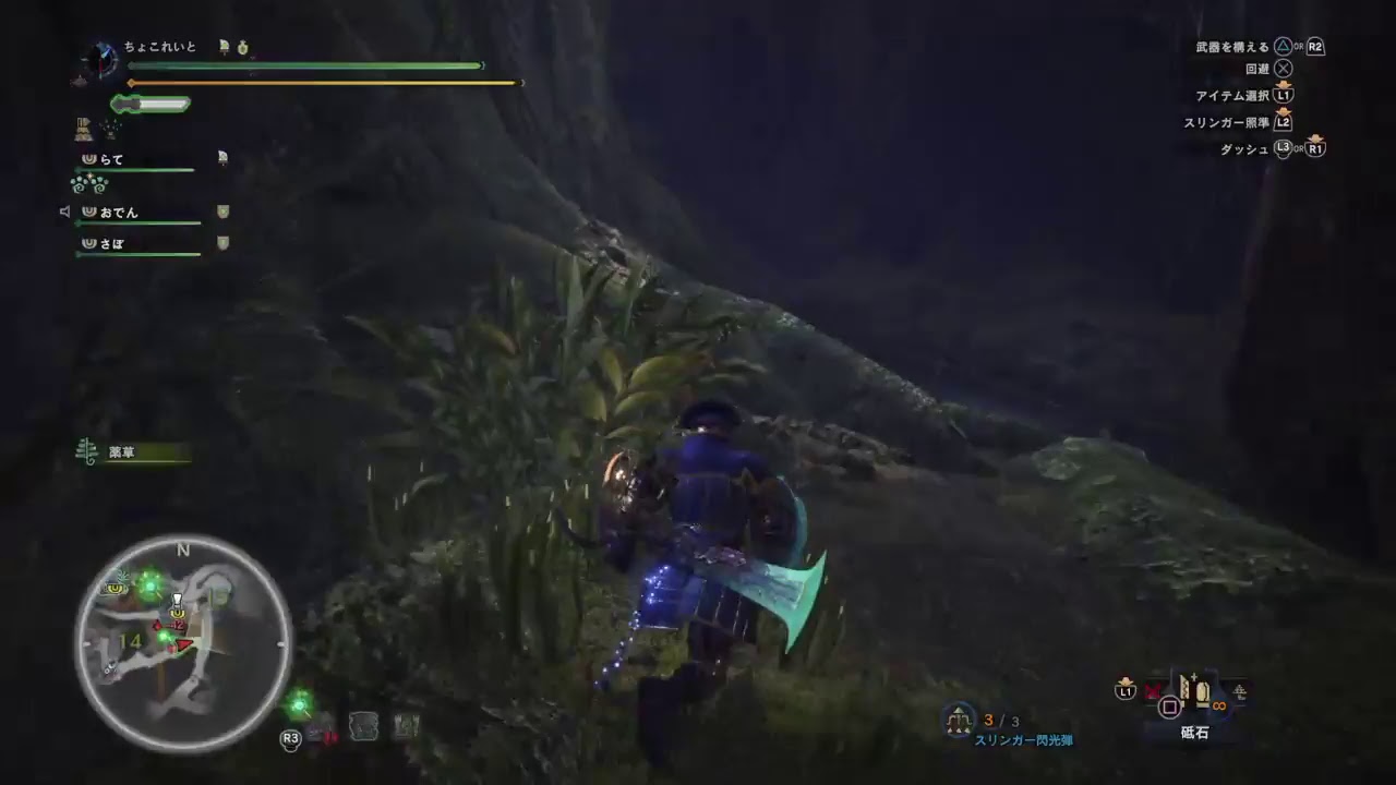 モンスターハンターワールド　回復役　練