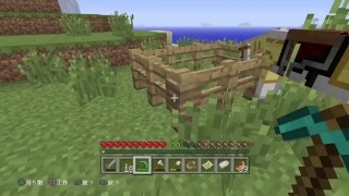 マイタウンをつくりたい！！　　マインクラフト　　寝落ち配信