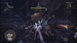 モンスターハンターワールド　スラアク　ネルギガンテ