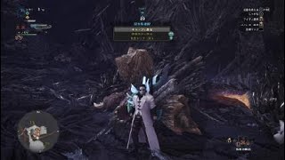 モンスターハンターワールド　スラアク　ネルギガンテ