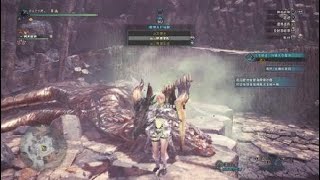 モンスターハンターワールド　歴戦鋼龍　（斬撃ガンランス＋ドラケンα）