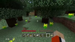 のんびりマインクラフトPart8