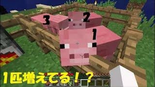 猫がやるマインクラフト！　パート2