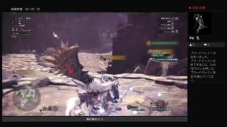 モンスターハンターワールド　　歴戦等々