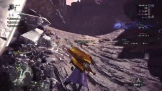 モンスターハンターワールド　極ベビーモス　お手伝い、やりたい方コメントで