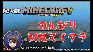 【マイクラ】マインクラフト初見プレイ！Part11【生配信】