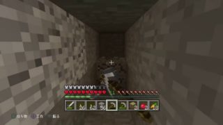 ひょっとこはんのマインクラフトライブ配信。無言play です。