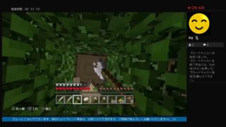 ひょっとこはんのマインクラフトライブ配信。無言play です。