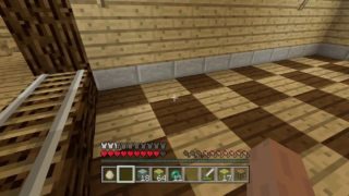 PS4マインクラフト　ぬわーーーーーっ！