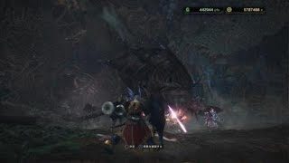 ［装飾品］歴然ヴァルハザクで特射珠　野良マルチ　モンスターハンター：ワールド_20180828225033