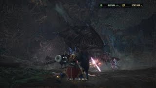 ［装飾品］歴然ヴァルハザクで特射珠　野良マルチ　モンスターハンター：ワールド_20180828225033