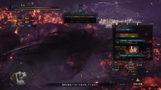 MHW 極ベヒーモス 野良での一幕