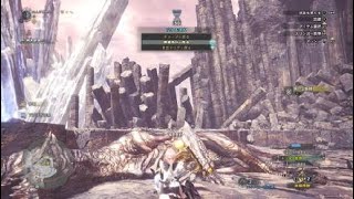 モンスターハンターワールド　ヘビィボウガン：散弾　鋼龍