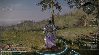 【真・三國無双８】于禁#29(難易度・究極)