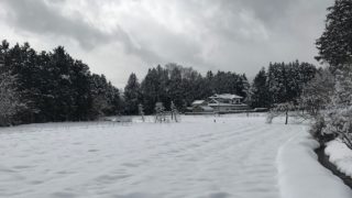 バカ二人のマインクラフト開拓