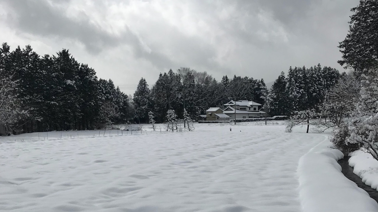 バカ二人のマインクラフト開拓