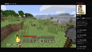 山賊。【マインクラフト】【無言】