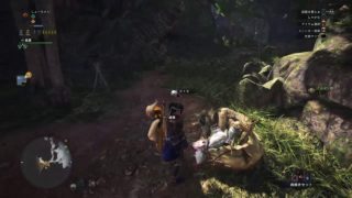 今度こそ極ベヒーモスを倒す [モンスターハンターワールド] (初見歓迎)