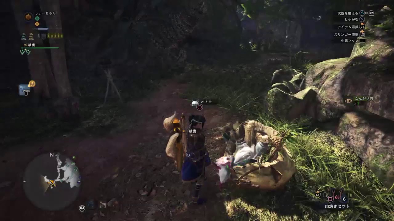 今度こそ極ベヒーモスを倒す [モンスターハンターワールド] (初見歓迎)