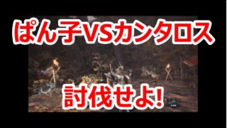 【実況】歩きすぎて足パンパンぱん子【モンスターハンター：ワールド#20】