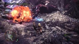 モンスターハンター：ワールド 極ベヒ