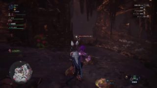 ぴかり’s「モンスターハンター：ワールド」