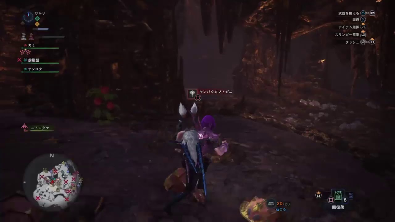 ぴかり’s「モンスターハンター：ワールド」