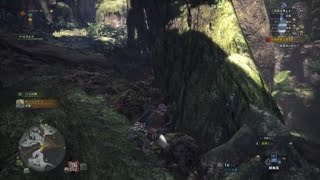 モンスターハンター：ワールド_20180822134027