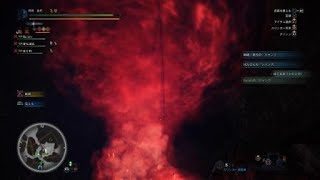 モンスターハンター：ワールド_20180829020558