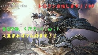 モンスターハンター：ワールド　トロコン目指します