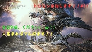 モンスターハンター：ワールド　トロコン目指します