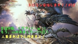 モンスターハンター：ワールド　トロコン目指します