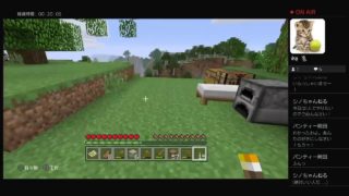 たまにはのんびりと。【マインクラフト】【無言】