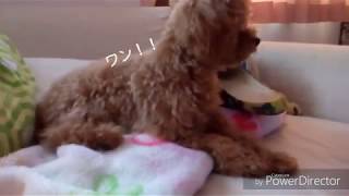 めっちゃ強いわ敵　ベイビーのスプラトゥーン２実況